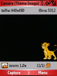 Roi_Lion_Screenshot.jpg